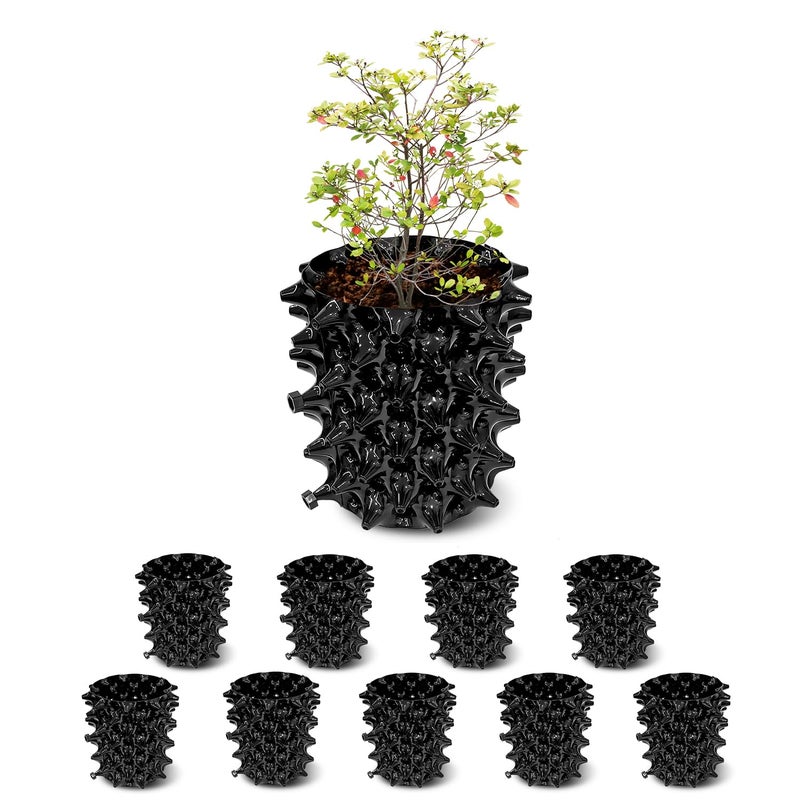 RooTrimmer أواني تقليم الهواء سعة 1 جالون من RooTrimmer أواني حضانة بلاستيكية جديدة أوعية زراعة ذاتية لحديقة الفاكهة والخضروات (10) أسود (1G-10P) - Image 1